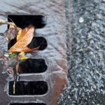 The Truth About Blocked Drains and How to Deal with Them in London