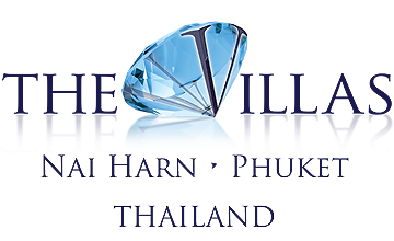 surf lessons Phuket